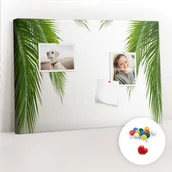 Tablice i flipcharty - Szkolna Tablica korkowa 60x40 cm, Kolorowe Pinezki, wzór Liście palma natura - miniaturka - grafika 1