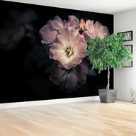 Fototapety - Fototapeta Róża Różowy - miniaturka - grafika 1