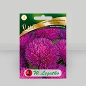 Nasiona i cebule - Aster chiński igiełkowy Cinderella Czerwony 0,5g - Nasiona - W. Legutko - miniaturka - grafika 1
