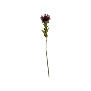 Sztuczny kwiat (wysokość 60 cm) Protea – PT LIVING - Sztuczne kwiaty - miniaturka - grafika 1
