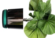 Donice - 26 cm Doniczka DUO dwukolorowa CZARNA z podstawką ZIELONA * nowoczesna * styl glamour * efekt lustra black * wysoki lustrzany połysk metaliczna * z .. - miniaturka - grafika 1