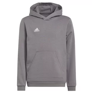Adidas, Bluza, ENTRADA 22 Hoody  H57515, rozmiar 116 cm - Bluzy sportowe męskie - miniaturka - grafika 1