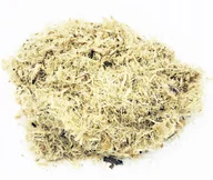 Przyprawy i zioła sypkie - LIPA KORA LIPY CIĘTA 1 KG NATURALNY SKLEP - miniaturka - grafika 1