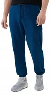 Dresy męskie - M��skie spodnie dresowe 4F TROM1139 46S XL - miniaturka - grafika 1