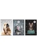 Zeszyt A4/60K kratka The sweet pets (5szt) - Zeszyty szkolne - miniaturka - grafika 1
