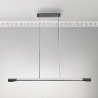 Lampy sufitowe - Paul Neuhaus Lampa wisząca LED Hoop, kolor aluminium, 128 cm, ściemniana - miniaturka - grafika 1