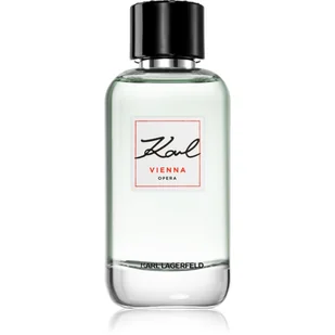 Karl Lagerfeld Karl Collection Vienna Woda toaletowa 100 ml - Wody i perfumy męskie - miniaturka - grafika 1
