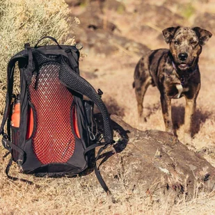 Plecak trekkingowy Gregory Arrio 18 - flame black - Plecaki - miniaturka - grafika 10