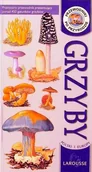 Nauki przyrodnicze - Grzyby Polski i Europy - miniaturka - grafika 1