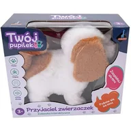 Zabawki interaktywne dla dzieci - Piesek na baterie Askato - miniaturka - grafika 1