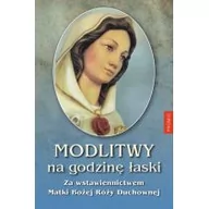 Religia i religioznawstwo - Promic Modlitwy na Godzinę Łaski za wstawiennictwem Matki Bożej Róży Duchownej praca zbiorowa - miniaturka - grafika 1