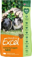 Karma dla gryzoni - Burgess Burgess - Guinea Pig Nuggets with Mint - 3 kg 40014 /Small Animals /4000 - miniaturka - grafika 1