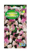 Nasiona i cebule - Groszek pachnący Pansy Lavender Flash 2 g POLAN - miniaturka - grafika 1