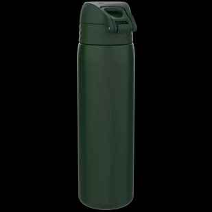 ION8 Zielona butelka na wodę ze stali nierdzewnej 600 ml - Butelki filtrujące - miniaturka - grafika 3