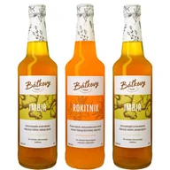Syropy i koncentraty owocowe - 3x Syrop Batkovy 2 Imbir 1 Rokitnik JESIEŃ - miniaturka - grafika 1
