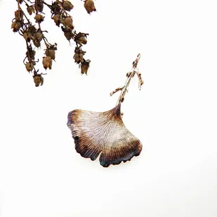 Broszka srebrna - Miłorząb - Broszki - miniaturka - grafika 1