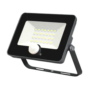 Naświetlacz LED ORO-HALOGEN-IGNIS-20W-PIR-CW-II - Oprawy, klosze i abażury - miniaturka - grafika 1