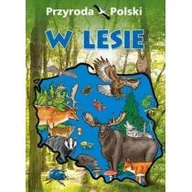 Książki edukacyjne - SBM Przyroda Polski W lesie - Praca zbiorowa - miniaturka - grafika 1