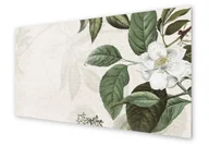 Dekoracje domu - Panel kuchenny HOMEPRINT Biały kwiat na jasnym tle 125x50 cm - miniaturka - grafika 1