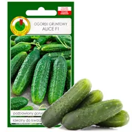 Nasiona i cebule - OGÓREK GRUNTOWY MIESZANIEC ALICE F1 NASIONA BEZ GMO 2g - miniaturka - grafika 1