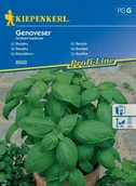 Nasiona i cebule - Bazylia Genoveser – Kiepenkerl - miniaturka - grafika 1