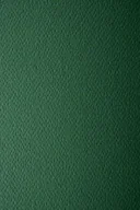 Dekoratorstwo - [ MB.15 ] Papier Prisma 220g Pino c. zielony - 10A4 / al *  Papier Prisma 220g Pino pak. 10A4 - miniaturka - grafika 1