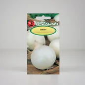 Nasiona i cebule - Cebula łuska biała Agostana 5g - Nasiona - W. Legutko - miniaturka - grafika 1