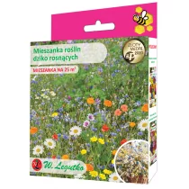 Legutko Nasiona roślin dziko rosnących 125 g / 25 m2 - Nasiona i cebule - miniaturka - grafika 1