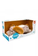 Maskotki i pluszaki - Pies pluszowy projektor gwiazd SLUMBER BUDDIES HC585106 - miniaturka - grafika 1