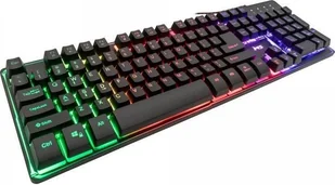 Microsoft MS Elite C505 US Layout - Klawiatury - miniaturka - grafika 1