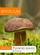 Grzybnia Podgrzybek brunatny 10 g