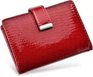 Etui na karty dokumenty wizytówki organizer kolory - Etui na dokumenty i karty - miniaturka - grafika 1
