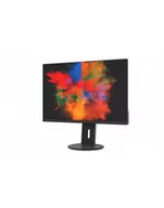 Monitory - Fujitsu B2410 WS - Czarny - S26361-K1697-V160 - miniaturka - grafika 1