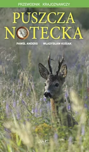Puszcza Notecka. Przewodnik krajoznawczy - Przewodniki - miniaturka - grafika 1