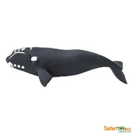 Figurki dla dzieci - Safari Wieloryb Waleń Biskajski - Ltd. - 204229 - miniaturka - grafika 1
