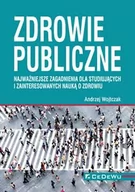 Książki medyczne - Wojtczak Andrzej Zdrowie publiczne. Najważniejsze zagadnienia dla.. - miniaturka - grafika 1