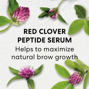 Bareminerals Strength & Length - Akcesoria i kosmetyki do stylizacji brwi - miniaturka - grafika 7