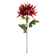Sztuczne kwiaty - Chryzantema strzępiasta 73cm, mix kol./HM60761SY - miniaturka - grafika 1