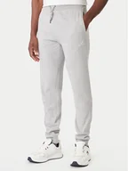 Spodnie sportowe męskie - Nautica Spodnie dresowe Nampa N1T04063 Szary Regular Fit - miniaturka - grafika 1