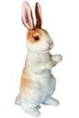 Maskotki i pluszaki - Królik 30cm - miniaturka - grafika 1