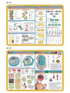 Visual System Podkładka na biurko Mikrobiologia, VISUAL SYSTEM - Podkładki na biurko - miniaturka - grafika 1