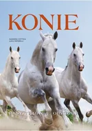 Poradniki hobbystyczne - Konie - miniaturka - grafika 1