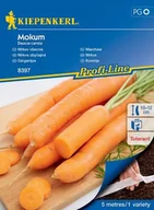 Nasiona i cebule - Marchew Mokum – Kiepenkerl - miniaturka - grafika 1