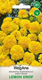 Aksamitka Rozpierzchła żółta niska Lemon Drop 1g nasiona - WegAna - Nasiona i cebule Aksamitka Rozpierzchła żółta niska Lemon Drop 1g nasiona - WegAna - Nasiona i cebule - miniaturka - grafika 1