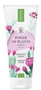 Balsamy i kremy do ciała - Lirene Power of Plants Wygładzający Balsam do ciała Miss Opuntia 200 ml - miniaturka - grafika 1