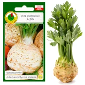 Nasiona i cebule - Seler Korzeniowy Albin 0,5G Plenny Nasiona Bez Gmo - miniaturka - grafika 1