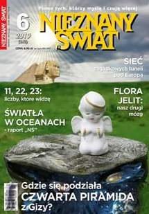 Nieznany Świat 6/2019 (342) - Czasopisma - miniaturka - grafika 1