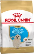 Sucha karma dla psów - Royal Canin Breed Golden Retriever Puppy - 2 x 12 kg Dostawa GRATIS! - miniaturka - grafika 1