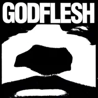 Metal, Punk - Godflesh - miniaturka - grafika 1