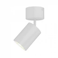 Lampy sufitowe - Orlicki Design Regulowana LAMPA sufitowa Kika Mobile Bianco metalowa OPRAWA tuba downlight biały Kika Mobile Bianco - miniaturka - grafika 1